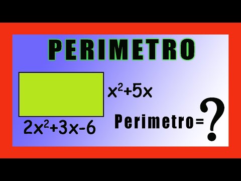 Perímetro de un rectángulo: cálculo con polinomios