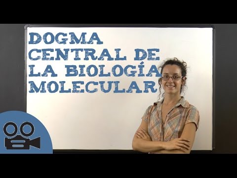 Dogma central de la biología molecular: clave para entender la genética